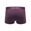 Male Power Avant-Garde Enhancer Shorts S Eggplant - Supportive Pouch