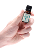 Pharmquests By Shots Cobeco Spanish Fly Love Potion 10ml - Herbal Zinc Formula
