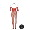 Shots Lace Bodystocking Queen Size - Long Sleeves, Versatile Fit