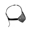 Xr Brands Master Series Ball Gag Adjustable Head Harness - Juodas, Removable Gag