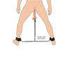 XR Brands Squat Adjustable Spreader Bar with Ankle Cuffs &amp; Removable Attachment