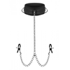 Xr Brands Master Series Submission Collar &amp; Adjustable Clamp Set with Neoprene Lining