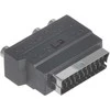 LP TP-Link DALIKLIS EURO-W/3CINCH-G/SVHS
