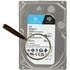 Kietasis diskas HDD Seagate SkyHawk AI 10TB