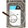 „SEAGATE“ HDD „SkyHawk Surveillance“ (3,5 colio/6 TB/SATA 6 Gb/s/rpm 5400)
