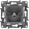 GALUTINIS LIZDAS LE-764549 TV / SAT Niloe LEGRAND