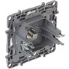 GALUTINIS LIZDAS LE-764549 TV / SAT Niloe LEGRAND