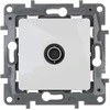 GALUTINIS LIZDAS LE-764551 TV Niloe LEGRAND