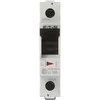 VIENFAZIS 100 A EATON HIS-100/1 JUNGIKLIS