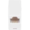 RJ45-G/RJ45-G*P100 jungtis