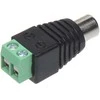 TST JUNGIAMASIS ELEMENTAS CINCH-G/S*P10