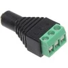 TST LIZDAS JACK-G/S