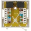TST GNIAZDO KOŃCOWE RJ45-2G1/6 PODWÓJNE