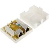 TST TIRPALAS NICK RJ45- 2G5 / 6