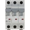 VAROMASIS JUNGIKLIS HN-C25/3 TRIFAZIS 25 A C TIPAS EATON