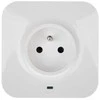 VIRŠĮTAMPIŲ RIBOTUVAS LE-50670 2P+Z 2 x RJ45 3500 W LEGRAND