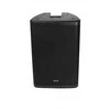 Peak „Fonestar FORCE-15DSP“ – aktyvi kolonėlė su DSP plastikiniame korpuse, dažyta tekstūruotais dažais. 1000 W maksimali galia, 700 W maksimali galia, 350 W RMS esant 8 Ω, 1 x 15 colių žemų dažnių garsiakalbis, 1 x 1 colio aukštų dažnių garsiakalbis, 40–20 kHz, 126 dB SPL, 35 mm pagrindas, 455 x 695 x 390 mm, 25,5kg. Galimybė naudoti 2 kolonėles kaip stereo sistemą (TWS – tikras belaidis stereo). „Bluetooth 5.0“.