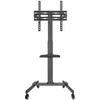 Laikiklis Fonestar STS-4244N - mobilus stovas 32"-65" televizoriui, keliamoji galia iki 35 kg
