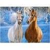 Castorland dėlionė THE WINTER HORSES 260 det.