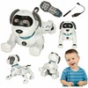 RC robotas šuo šokinėja vaikšto