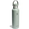 HYDRO FLASK HF-Buteliukas 21oz Standard Flex Cap Agave