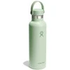 HYDRO FLASK HF-Buteliukas 21oz Standard Flex Cap Aloe