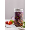 Kilner KIL-Rinkinys do fermentacji 1l.