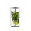 Pojemnik na zioła HERB KEEPER / Kilner