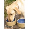Miska šuniui CANE & Mėlynas LETTERED 13 cm / Mason Cash