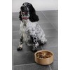 MASON CASH (RAYWARE GROUP) MC-dubenėlis augintiniams 18 cm, Petware Cane