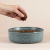 MASON CASH (RAYWARE GROUP) MC-Pet dubuo 18 cm reaktyvioji letenėlė