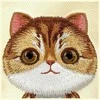Nimmy dėklas Apple iPhone 16 6.1″ khaki Big Eyed Pet 2.0 Cat