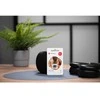 FORCELL F-DATA atminties kortelė 64GB UHS-I U3 10 klasė