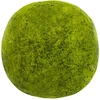 Rūta Vaisių ir riešutų užkandžiai su Matcha ir braškėmis GREENZ MATCHA & STRAWBERRY, 1kg