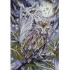 Abris Art siuvinėjimo kryželiu rinkinys „Pelėdos“, 25×37 cm, 14 ct