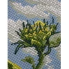 Aine Saulėgrąžos vėjyje kryželiu siuvinėjimo rinkinys, Aida 14 ct 30x24
