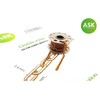 ASK - Art Scale Kit ASK žalvarinė smulki grandinėlė 50 cm (200-T0220)