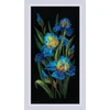 Beautiful Irises. Siuvinėjimo rinkinys iš RIOLIS Nr.: 2346