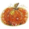 Charivna Mit Karoliukų segės siuvinėjimo rinkinys „Moliūgas” Crystal Art