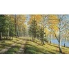 Hobilt Autumn Landscape 70х40 Deimantinio Paveikslo komplektas Cs2606