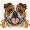 Hobilt Bulldog 20х20 Deimantinio Paveikslo komplektas Cs2718
