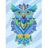 Hobilt Colourful Owl Deimantinio Paveikslo komplektas CS2544