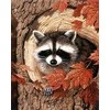 Hobilt Racoon in the Tree Deimantinio Paveikslo komplektas CS2561