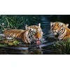 Hobilt Tigers Deimantinio Paveikslo komplektas CS2569