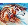 Hobilt Wind Of Thunder Indian War Horse Deimantinio Paveikslo komplektas CS2563
