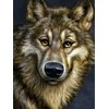 Hobilt Wolf Deimantinio Paveikslo komplektas CS2574