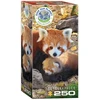 Ekologiška dėlionė „Raudonoji panda“ 250 detalių, 33x48 cm (Eurographics)