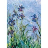 Eurographics Claude Monet „Irisai“ dėlionė 1000 detalių – muziejinė kokybė
