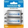 EverActive D R20 šarminės baterijos 5500mAh Sidabrinis Line, 2 vnt.
