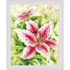 Lilies Siuvinėjimo rinkinys iš RIOLIS Nr.: 2000